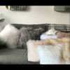 Picture of Mongolian Curly Blush Lambskin Sheepskin Cushion Cover 40cm x 40cm Beige