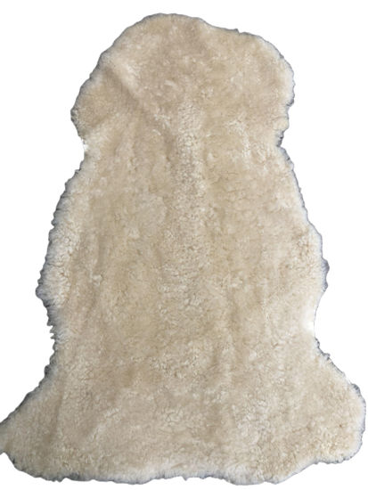 Picture of Australian Sheepskin Rug Shorn Curly Lambskin Rug Short Wool Cream Pet Rug Assorted Size