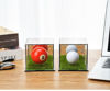 Picture of Golf Ball snooker ball Display Case Small Golf Ball Case Acrylic Case Clear