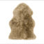 Picture of 100% Genuine Sheepskin Rug Lambskin Rug Wool Desert Taupe 90CM Fluffy