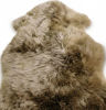 Picture of Genuine Sheepskin rug lambskin Rug Fluffy DOUBLE L 180cm  Taupe