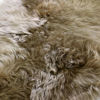 Picture of Genuine Sheepskin rug lambskin Rug Fluffy DOUBLE L 180cm  Taupe