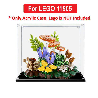 Picture of Acrylic Display Case for LEGO 11505 Botanicals Woodland Mushrooms