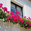 Picture of 12pcs Artificial Bougainvillea Flowers Silk Floral Stems Hanging Bougainvillea Vines for Wedding & Home Decoration, Table and Vase Decor