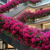 Picture of 12pcs Artificial Bougainvillea Flowers Silk Floral Stems Hanging Bougainvillea Vines for Wedding & Home Decoration, Table and Vase Decor