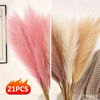 Picture of 12pcs Pink/Brown White Pampas Grass Decor 55cm Fluffy Faux Artificial Plants for Home Wedding Living Room Wall Party Decoration