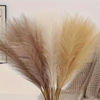 Picture of 12pcs Pink/Brown White Pampas Grass Decor 55cm Fluffy Faux Artificial Plants for Home Wedding Living Room Wall Party Decoration