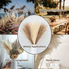 Picture of 12pcs Pink/Brown White Pampas Grass Decor 55cm Fluffy Faux Artificial Plants for Home Wedding Living Room Wall Party Decoration
