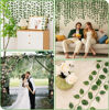 Picture of 12pcs Artificial Ivy Vines for Room Decor Fake Ivy Leaves Garland Greenery for Bedroom Wall Wedding Aesthetic