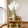 Picture of Artificial Onion Grass with Reeds Faux Pampas Foxtail Plant Tall Greenery Shrubs for Indoor and Outdoor Home Garden Decoration