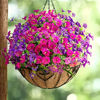 Picture of Artificial Eucalyptus Morning Glory Flowers for Outdoor Decoration